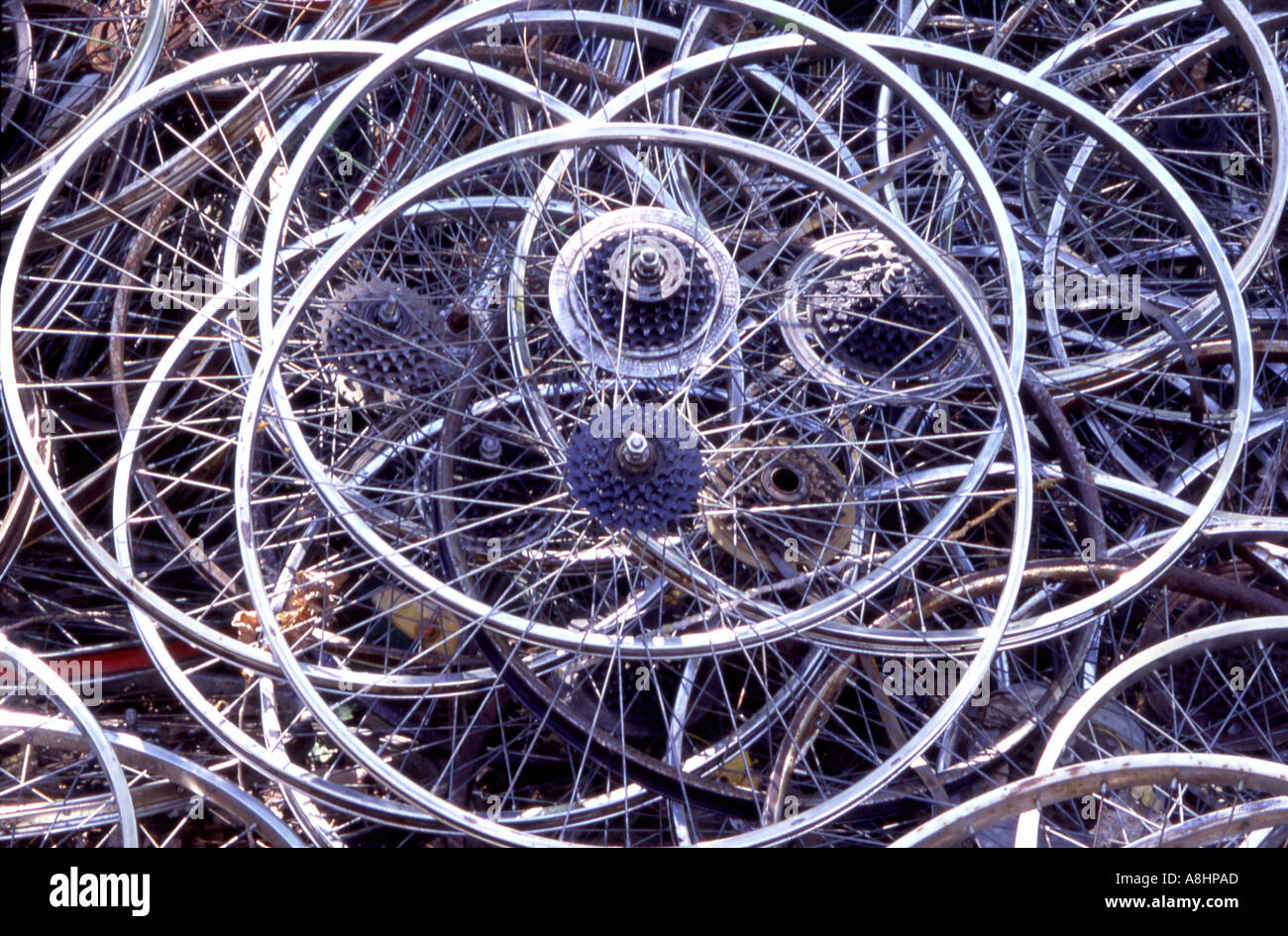 old bike rims