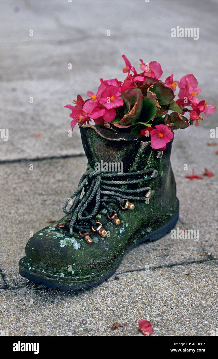 Old climbing boots serving as a flowerpot Bavaria Germany Stock Photo ...