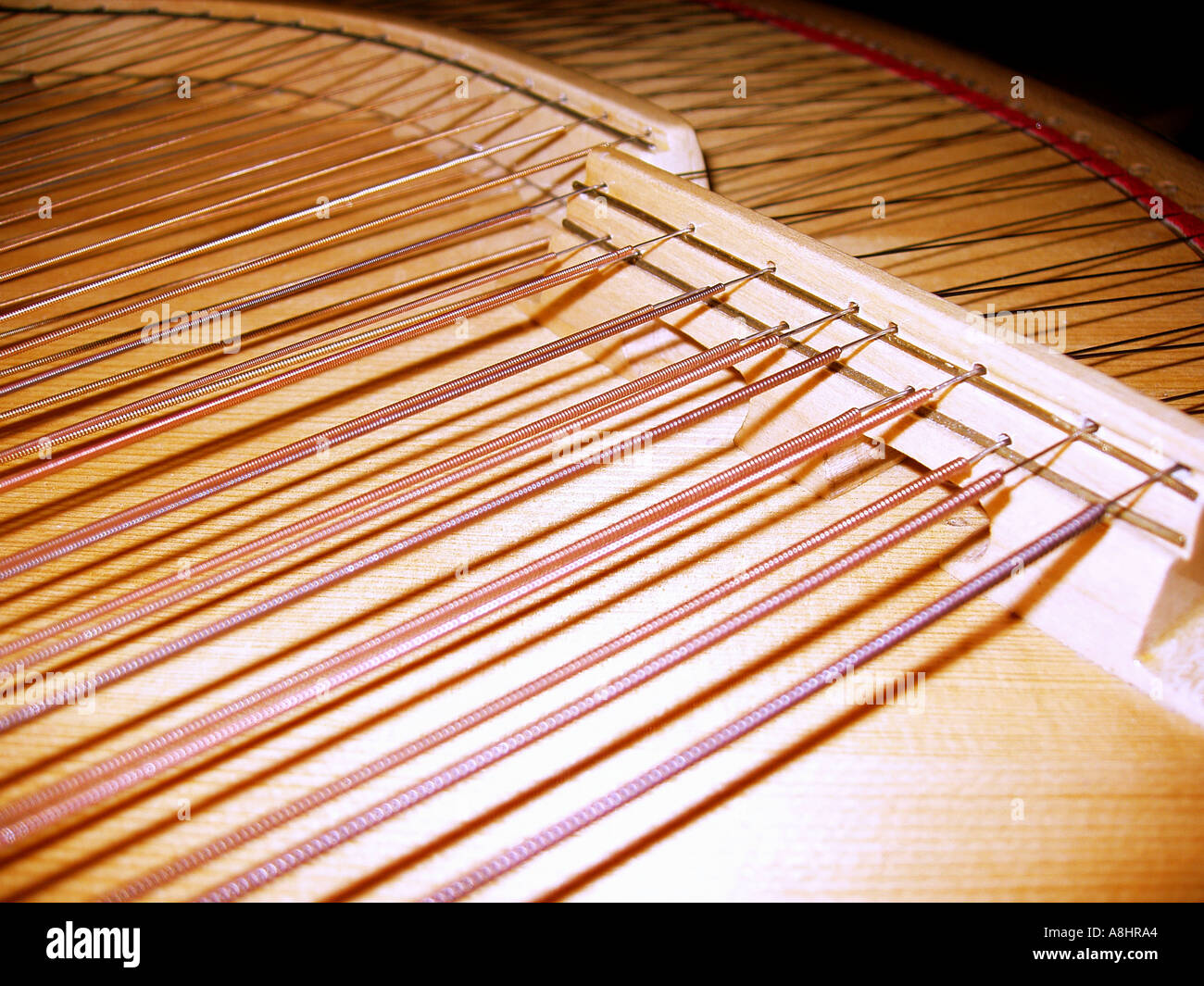 Kozak art music Ukrainian bandura kobza kobsa torban Stock Photo - Alamy