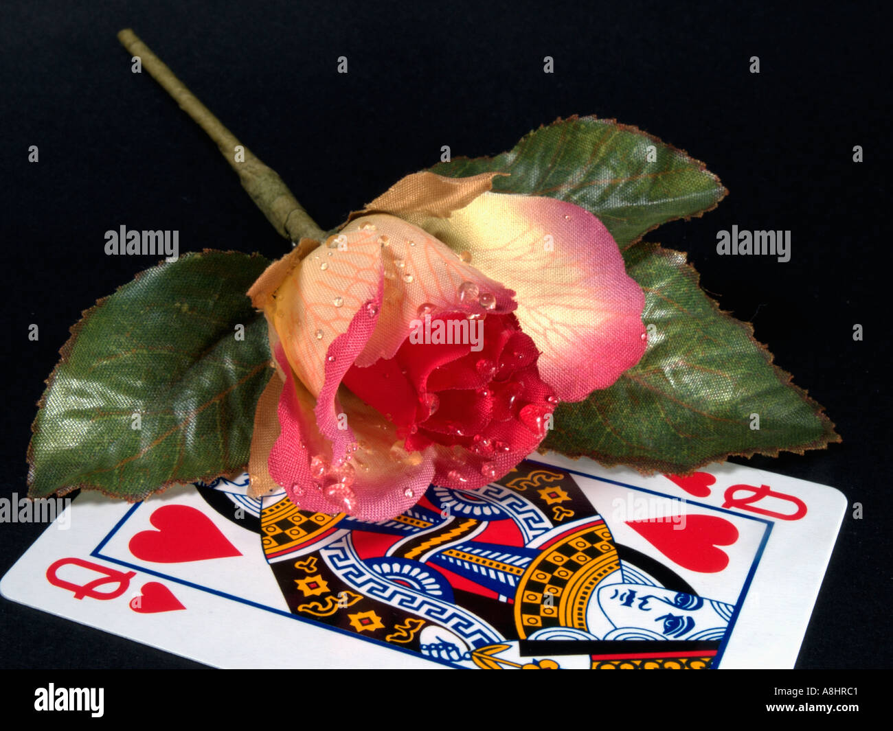 Playing card as hi-res stock photography and images - Alamy