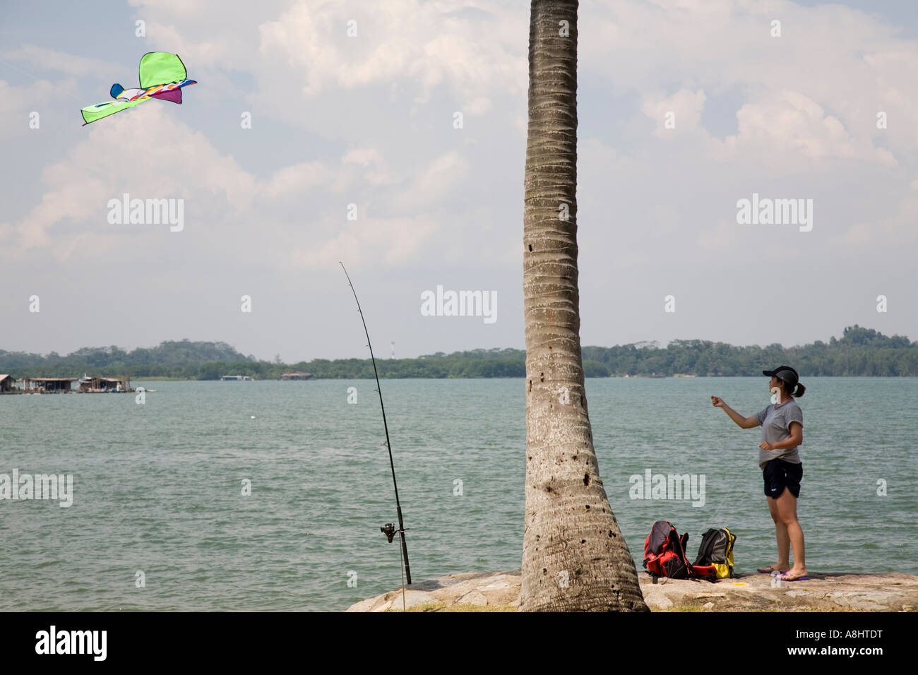 Kite Flying, Singapore Stock Photo Alamy