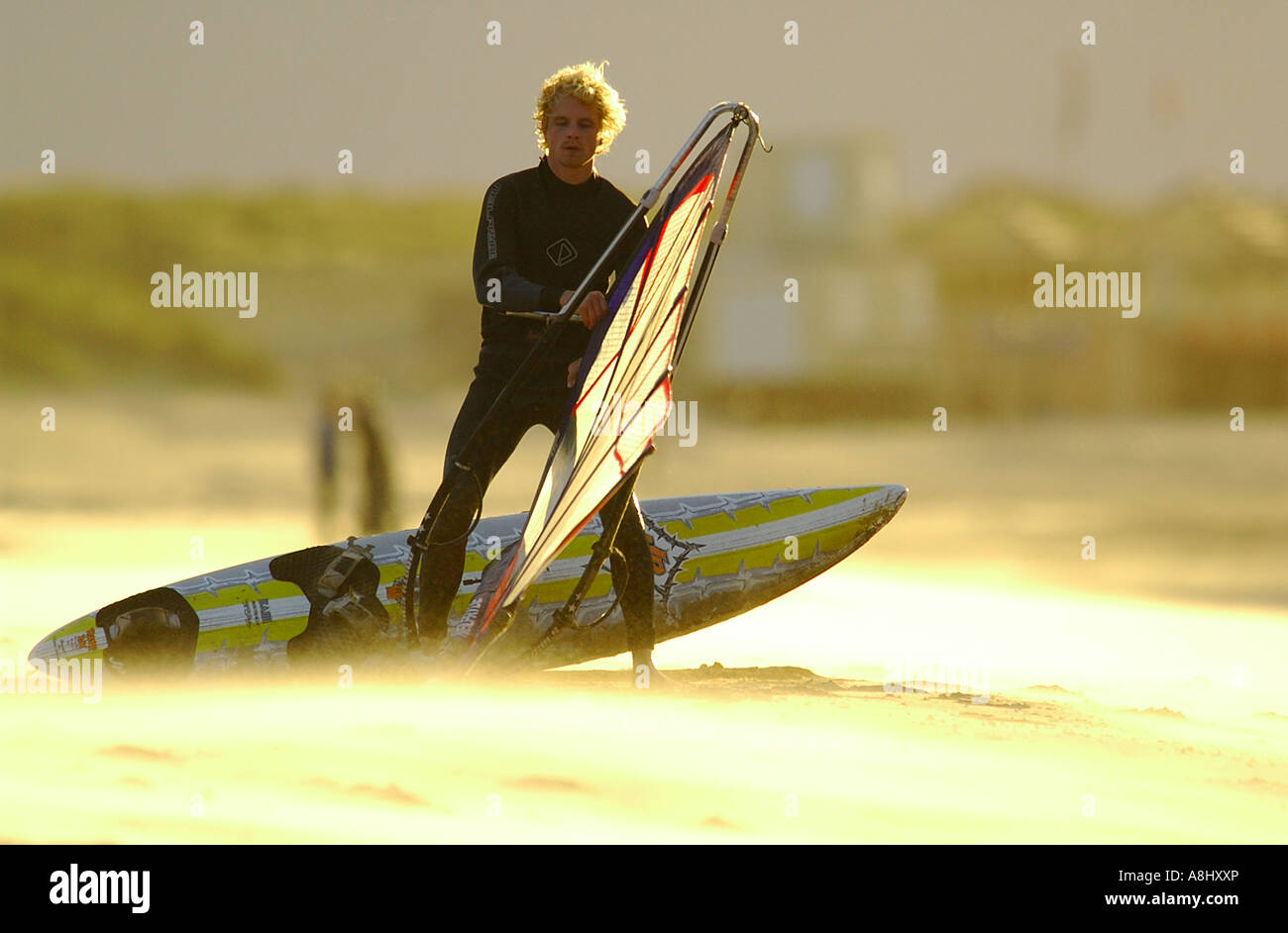 Windsurf men check his surf stuff equipment on the beach with gold ...