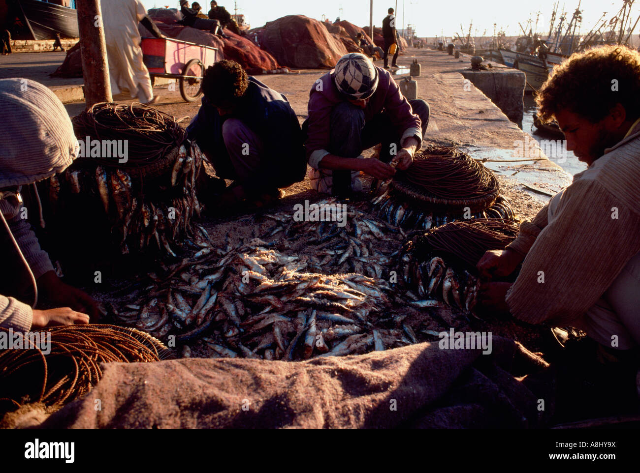 Fishermen baiting hooks for longlines in Essaouira Harbour, Morocco Stock Photo