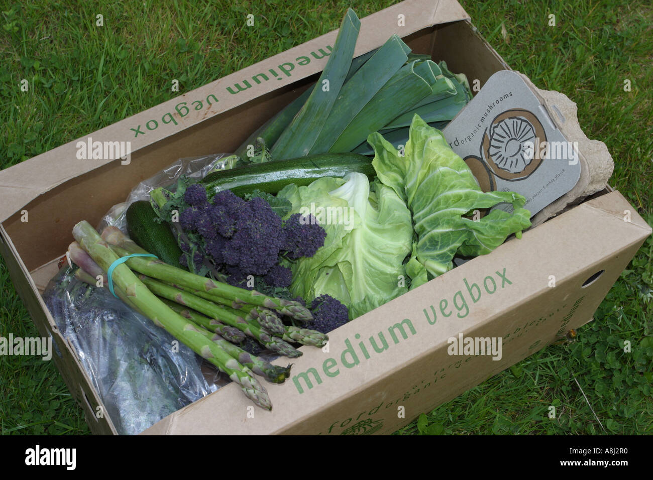 Organic fresh vegetable box home delivery service Stock Photo Alamy