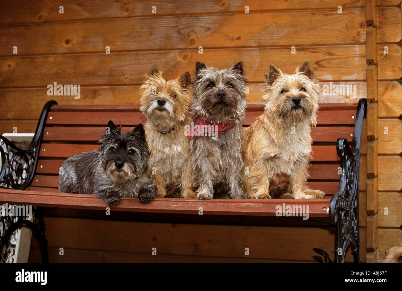 Four settees hires stock photography and images Alamy