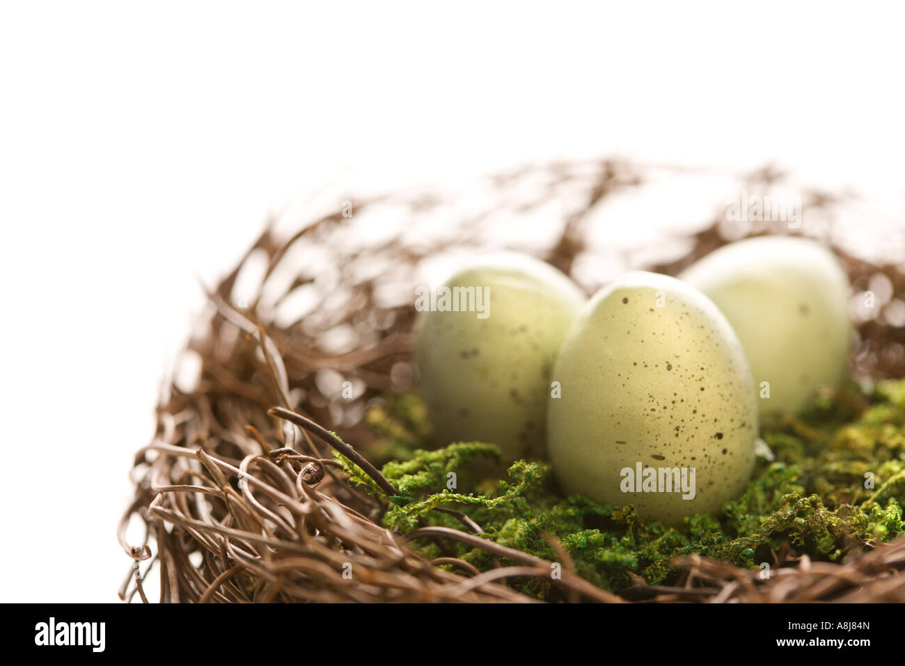 Studio still life of bird s nest with three speckled eggs Stock Photo ...