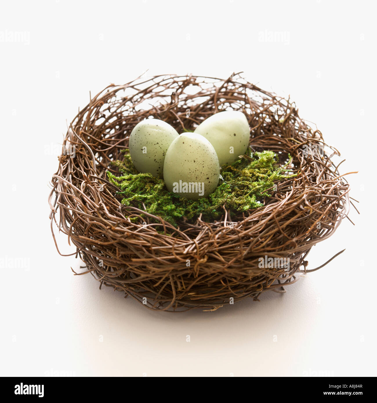 Studio still life of bird s nest with three speckled eggs Stock Photo ...