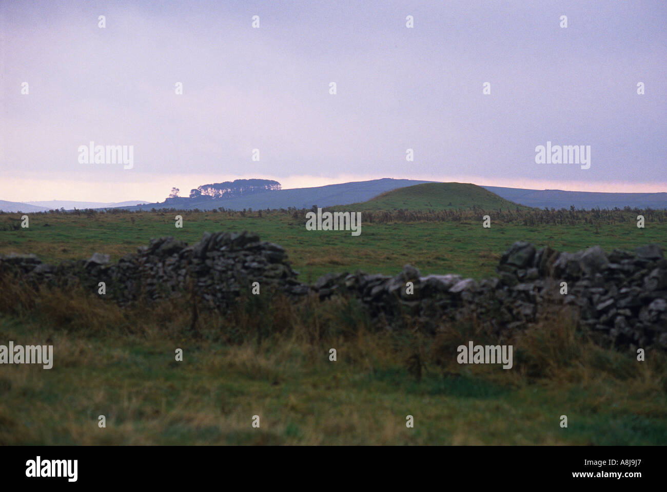 Gibb Hill Burial Mound 200 meters South West of Arbor Low in The Peak District of Derbyshire Stock Photo