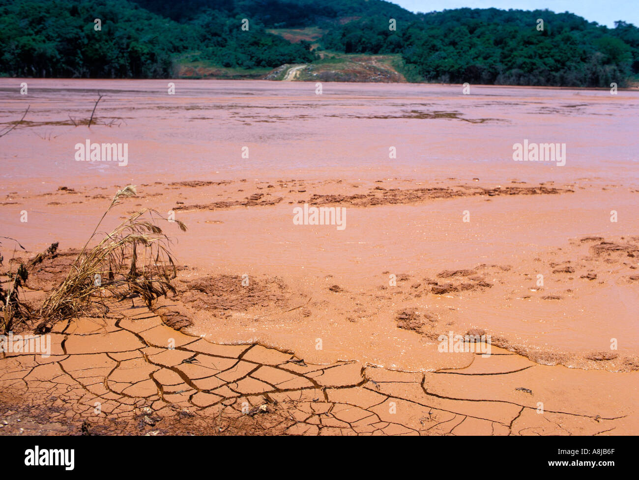 Jamaica poisonous bauxite waste kills everything in its path Stock