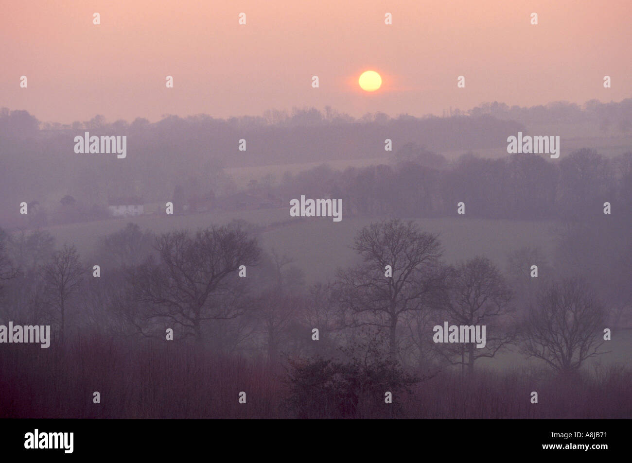 Winter sunrise rural East Sussex Stock Photo