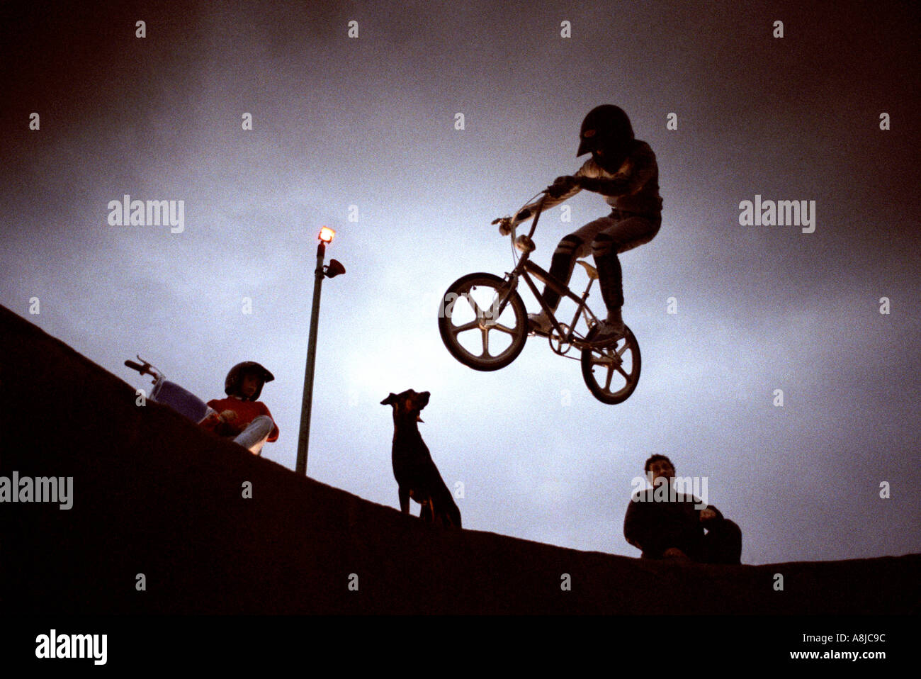 BMX biker in full safety sports wear captured in mid air at dusk with  dog and onlookers Stock Photo