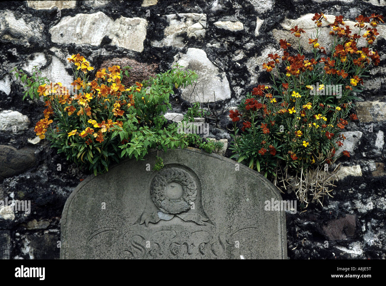 close up of a stone wall and a grave stone in a church yard Stock Photo