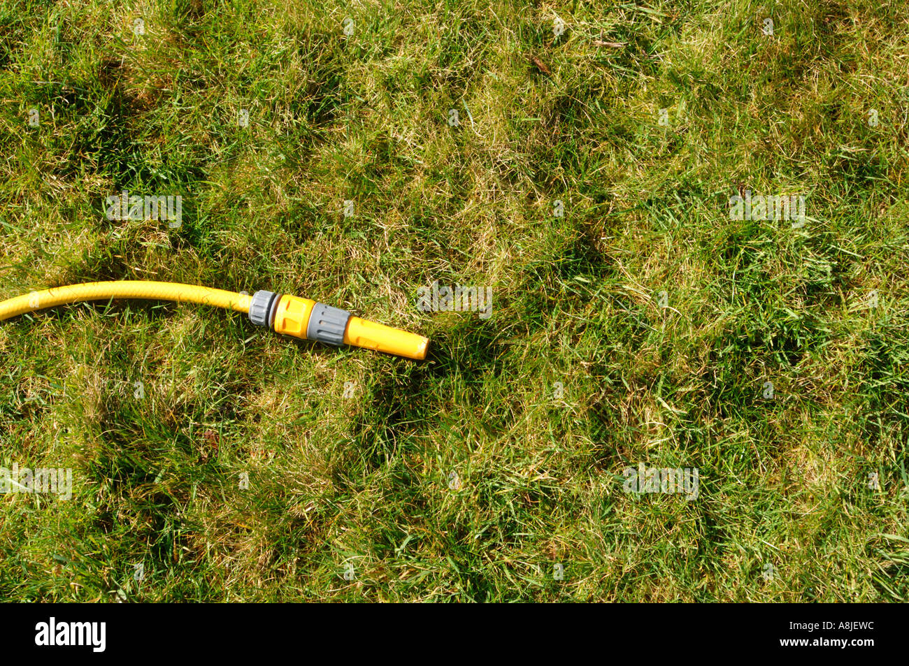 Hose hosepipe garden water Stock Photo Alamy