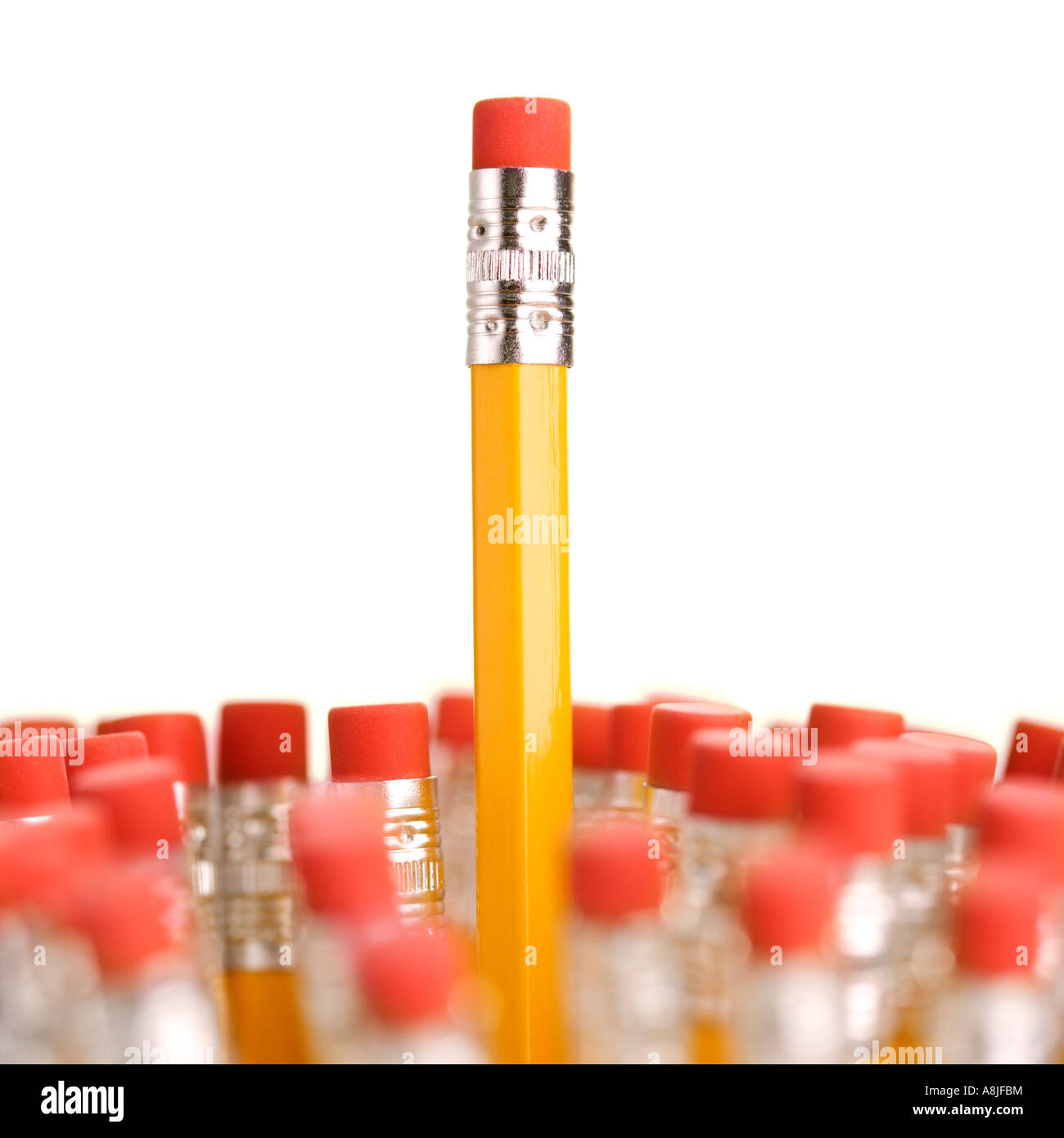 Group of eraser ends of pencils with one standing out higher than the