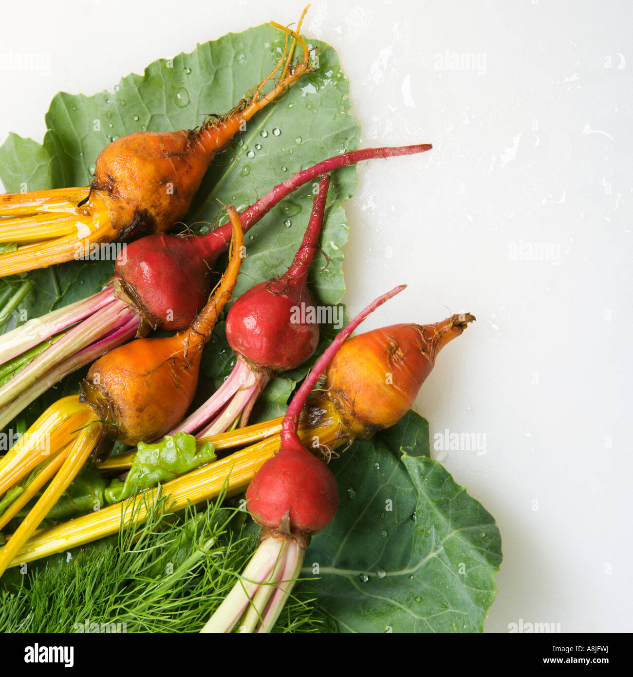 Freshly washed red and golden beets resting on lettuce leaf Stock Photo