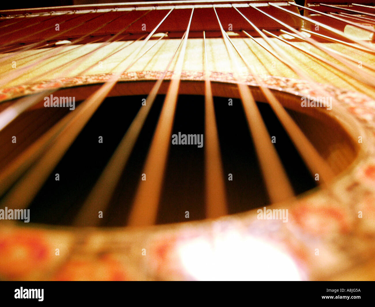 Kozak art music Ukrainian bandura kobza kobsa torban Stock Photo - Alamy
