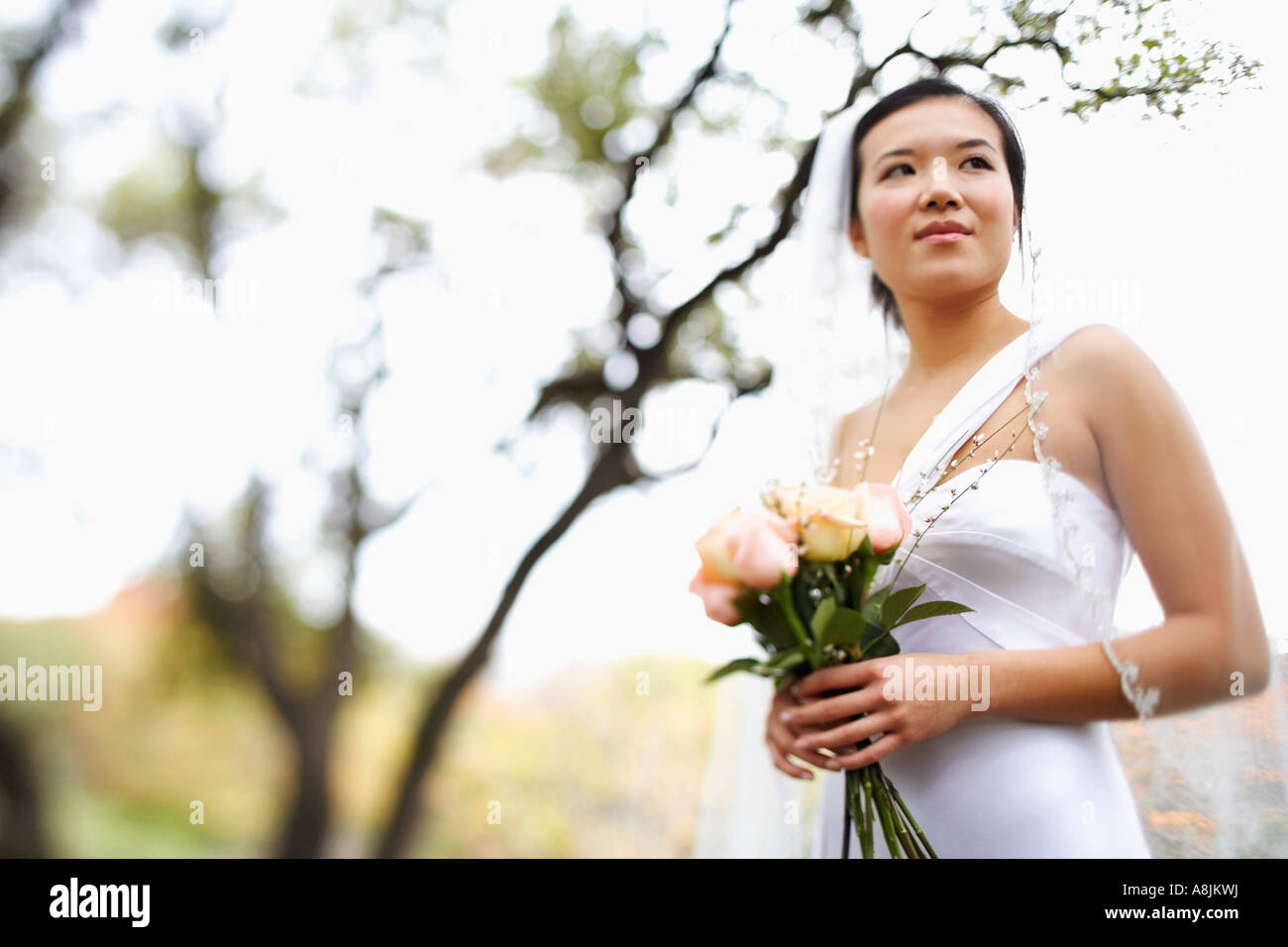 Low angle view of a bride holding a bouquet of flowers Stock Photo