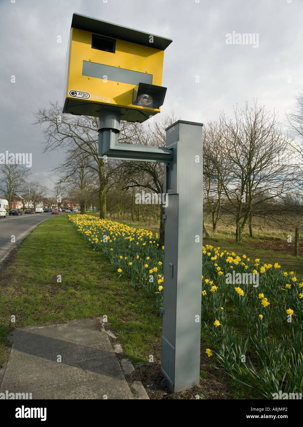 Colchester daffodils and a speed camera on Cowdray Avenue. Avenue of Rememberance Stock Photo