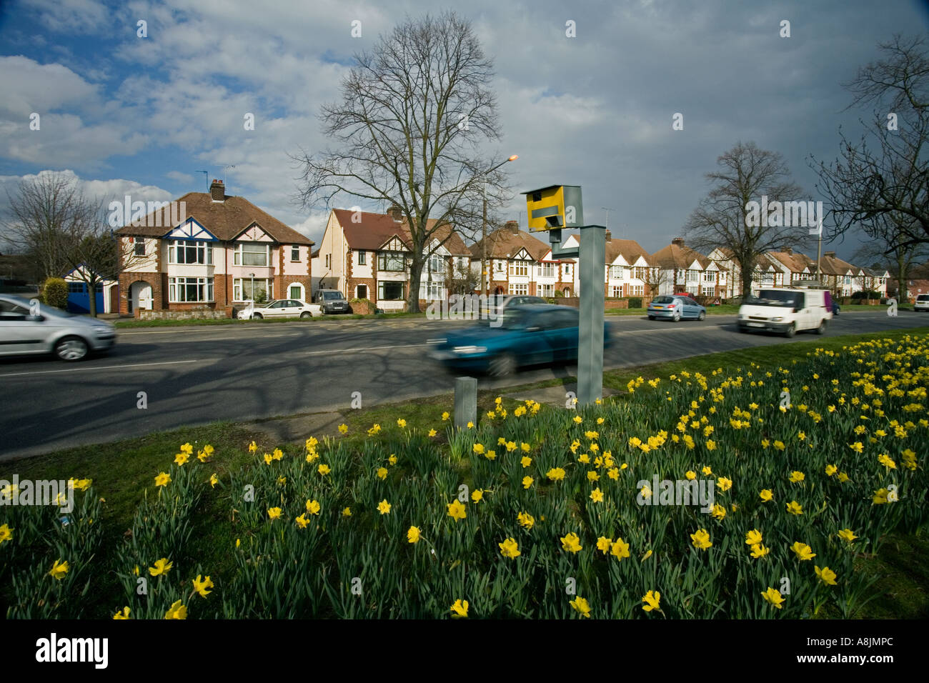 Colchester daffodils and a speed camera on Cowdray Avenue. Avenue of Rememberance Stock Photo