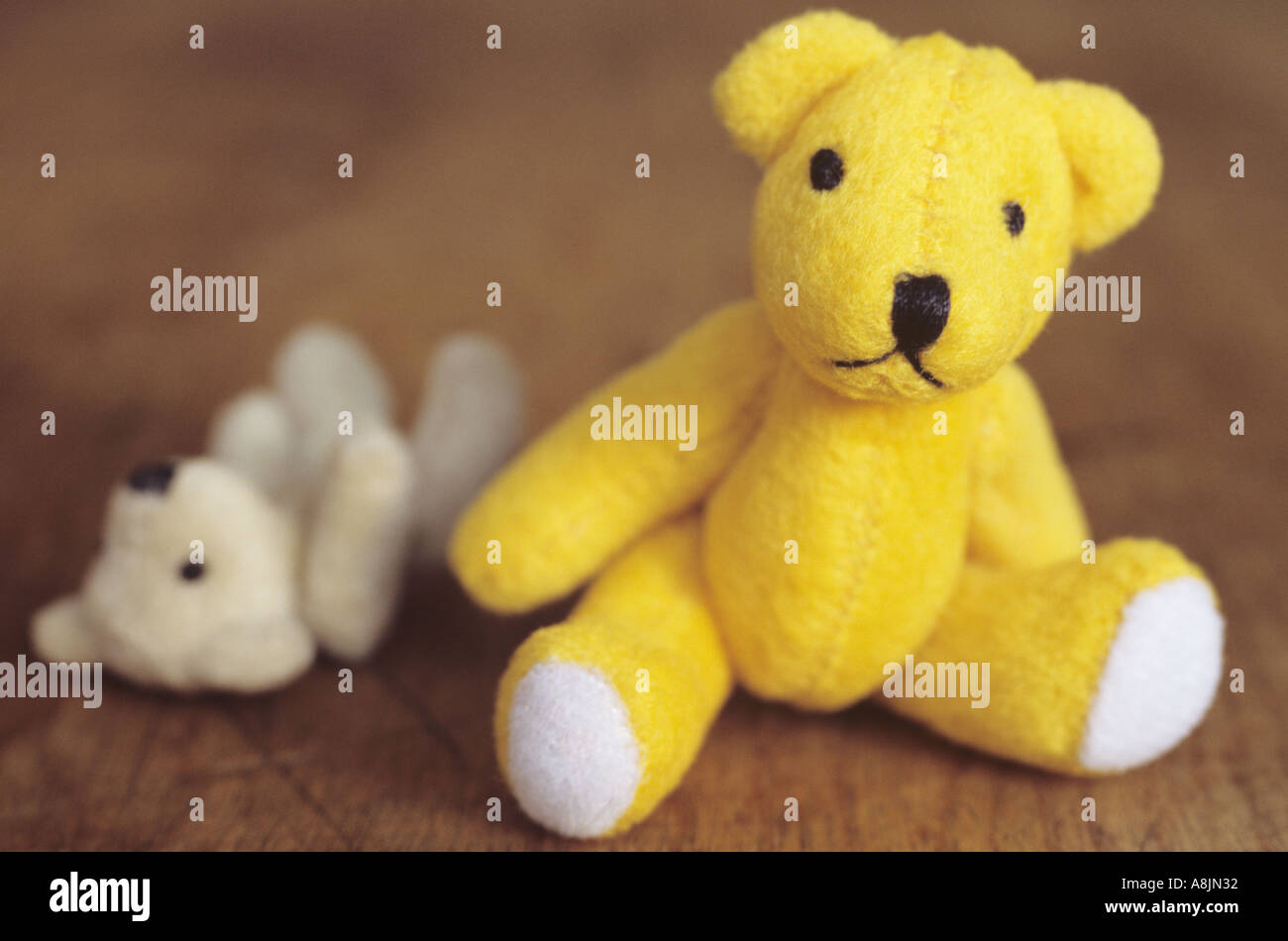 Small yellow teddy bear sitting on a wooden seat or table looking at viewer with a smaller paler ted lying alongside Stock Photo
