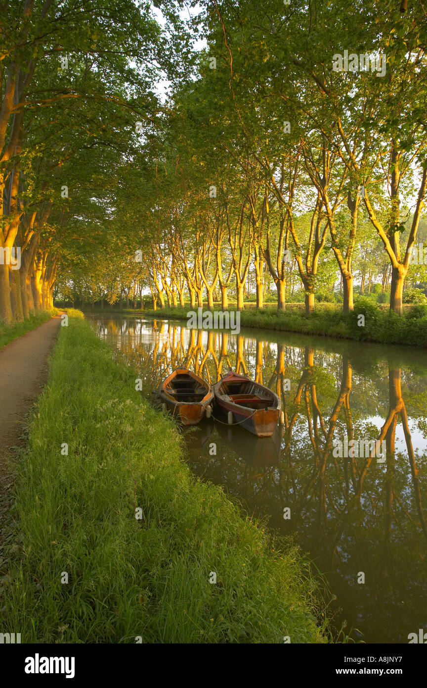 row boats on the Canal du Midi nr Carcassonne Languedoc France Stock Photo