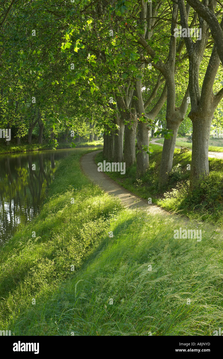 the tow path on the Canal du Midi nr Carcassonne Languedoc France Stock Photo