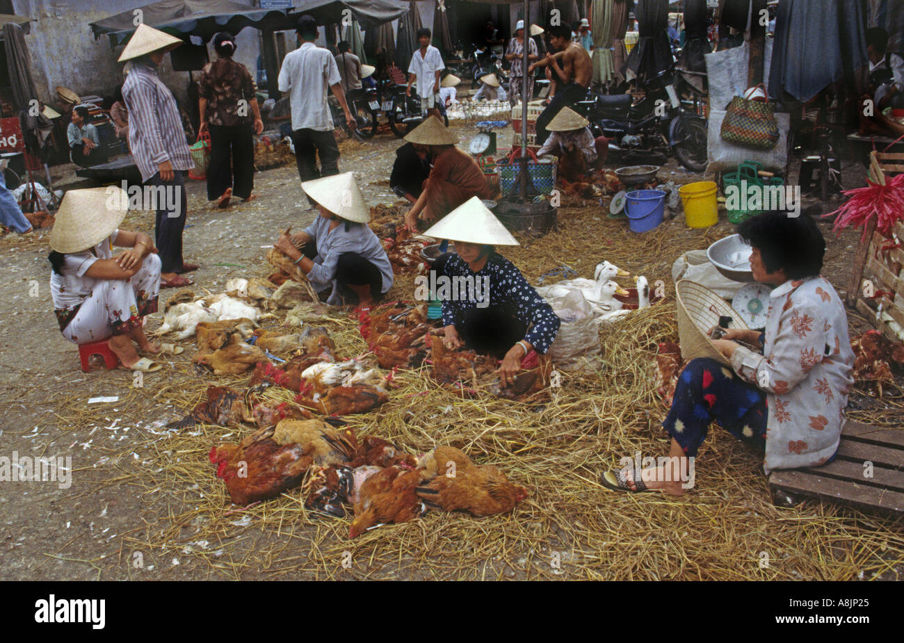 Poultry For Sale At A Market In Ho Chi Minh City Vietnam Stock Photo