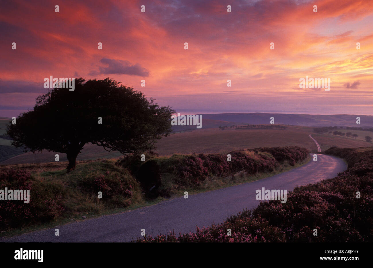 dawn on Exmoor Somerset England UK Stock Photo