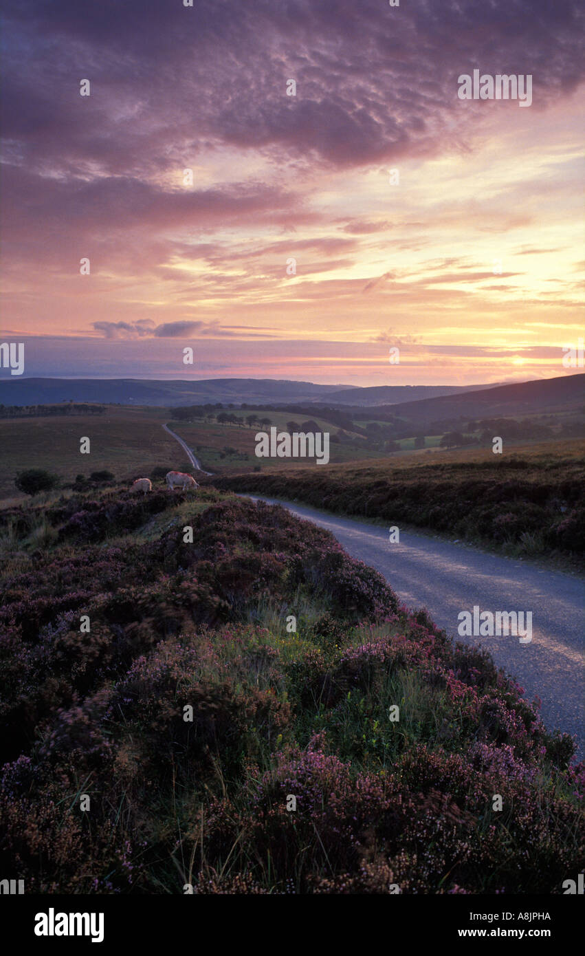 road over northern edge of Exmoor Somerset England UK Stock Photo