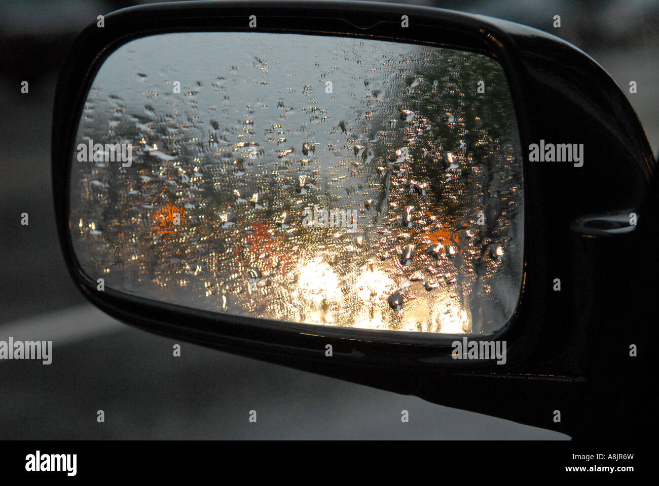 Rain droplets Stock Photo