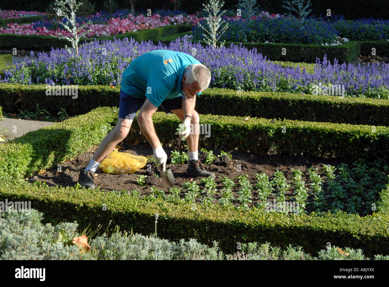 UK Gardener in Holland Park Kensington London Photo Julio Etchart Stock Photo