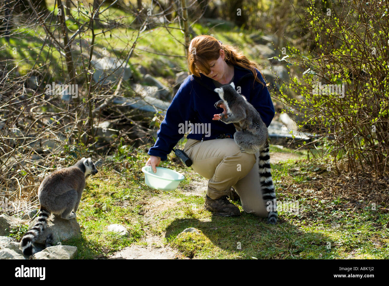 Female zookeeper hires stock photography and images Alamy