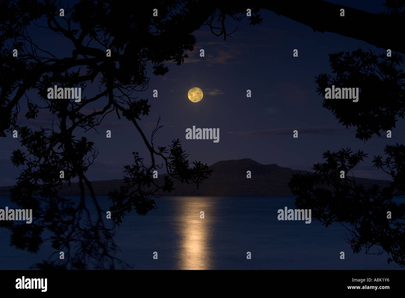 Moon over Rangitoto Island Auckland New Zealand Stock Photo Alamy