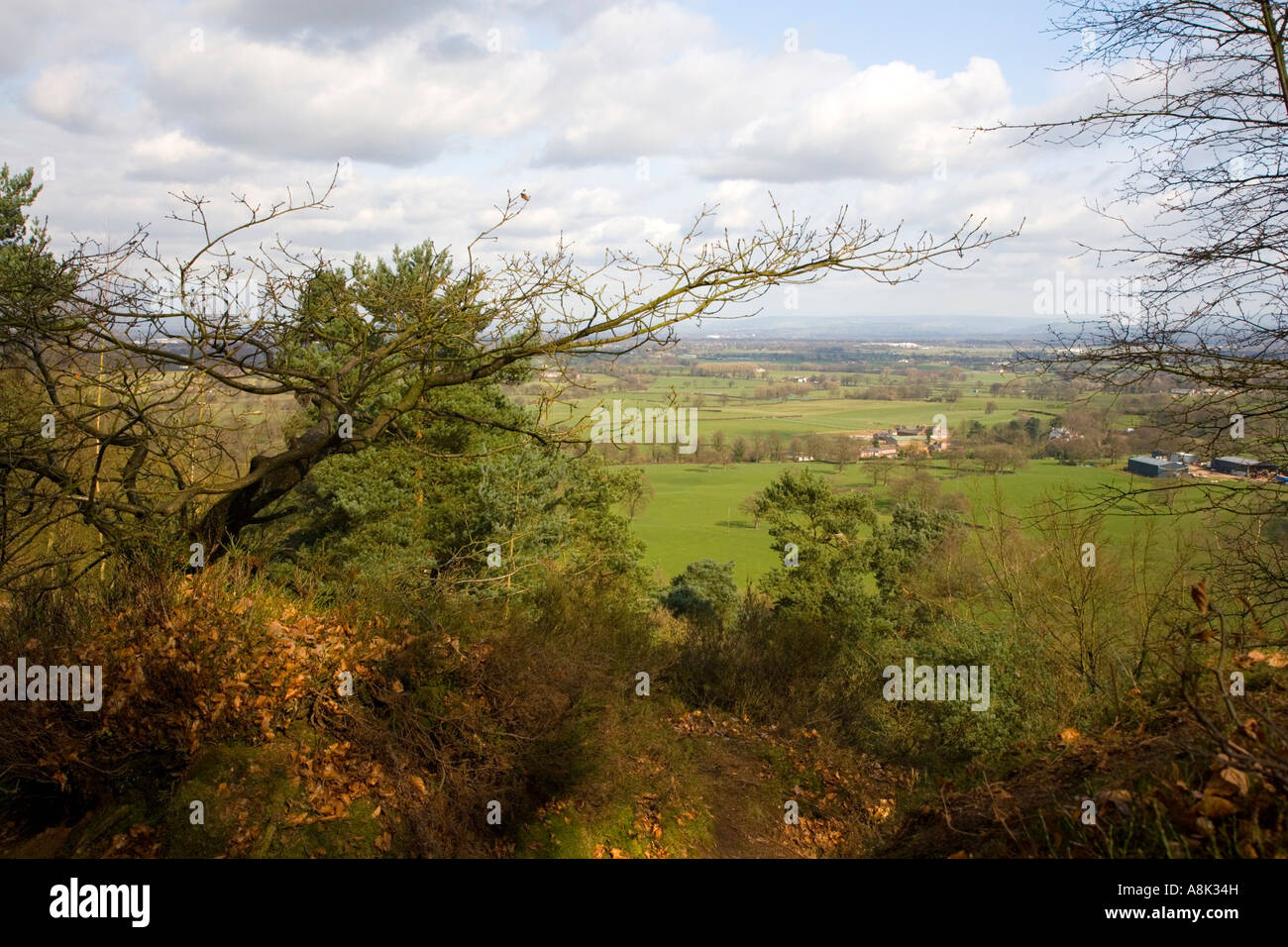 View over Northeast Cheshire from Stormy Point at Alderley Edge in Cheshire Stock Photo