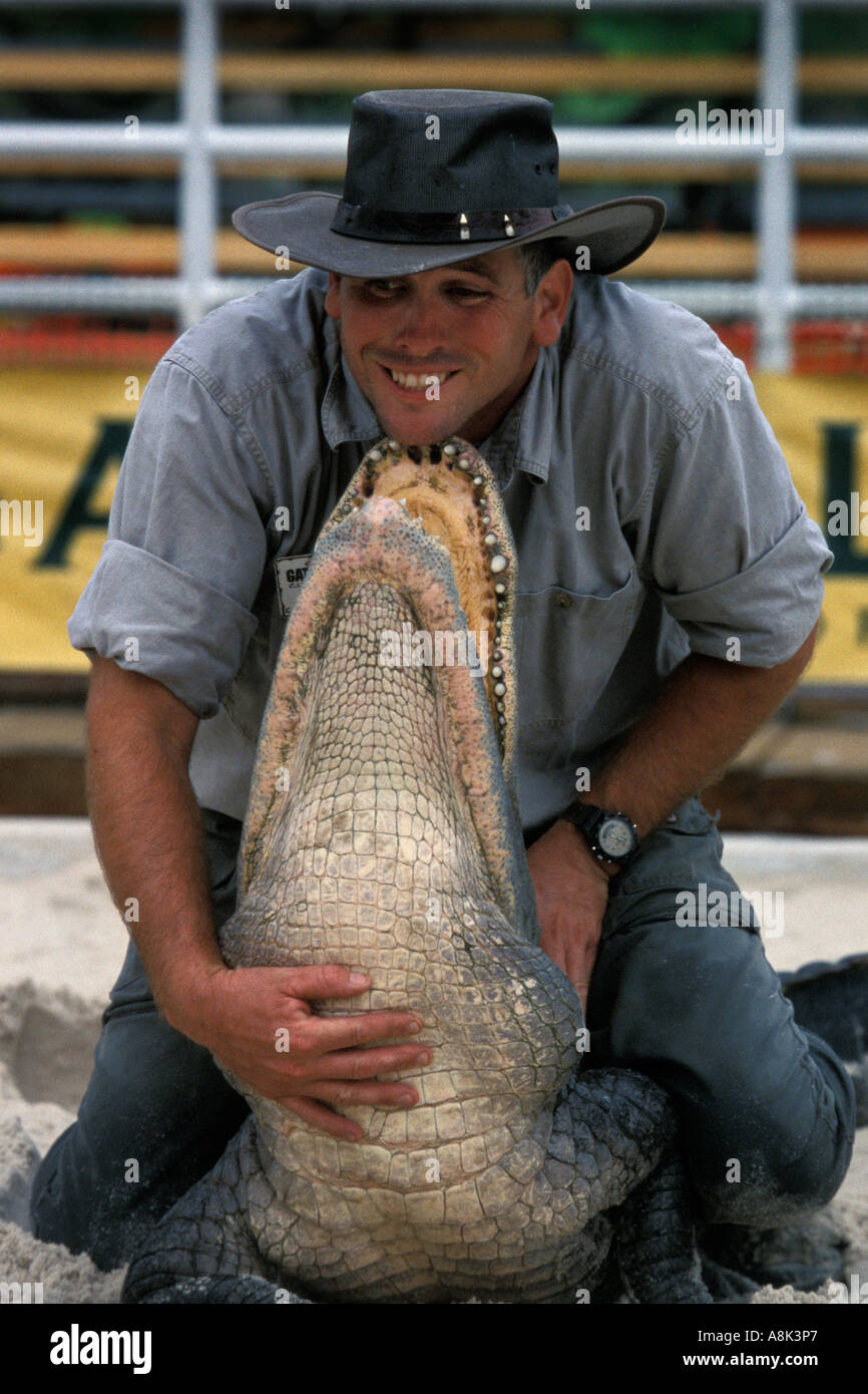 Florida, Orlando, Gatorland, Alligator wrestling Stock Photo Alamy
