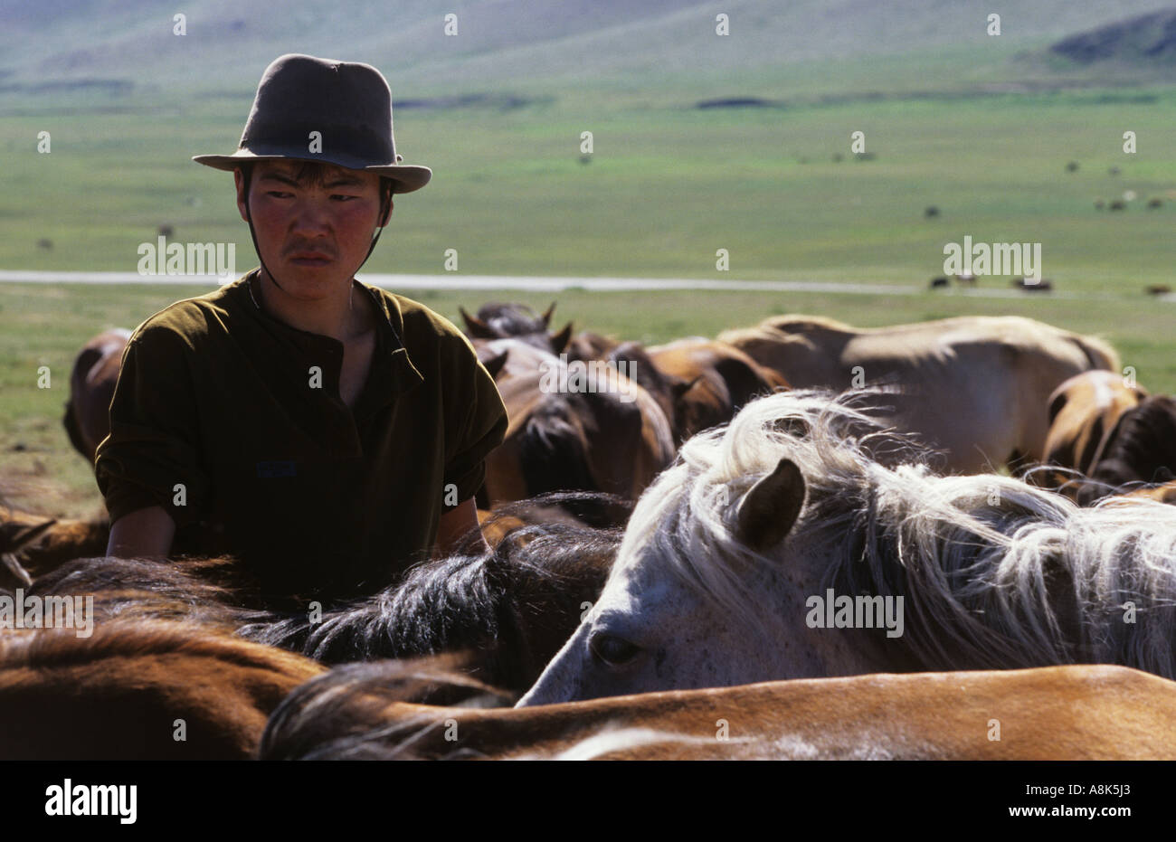 mongolian nomad with his horses hat nomad landscape horseman mongolia ...