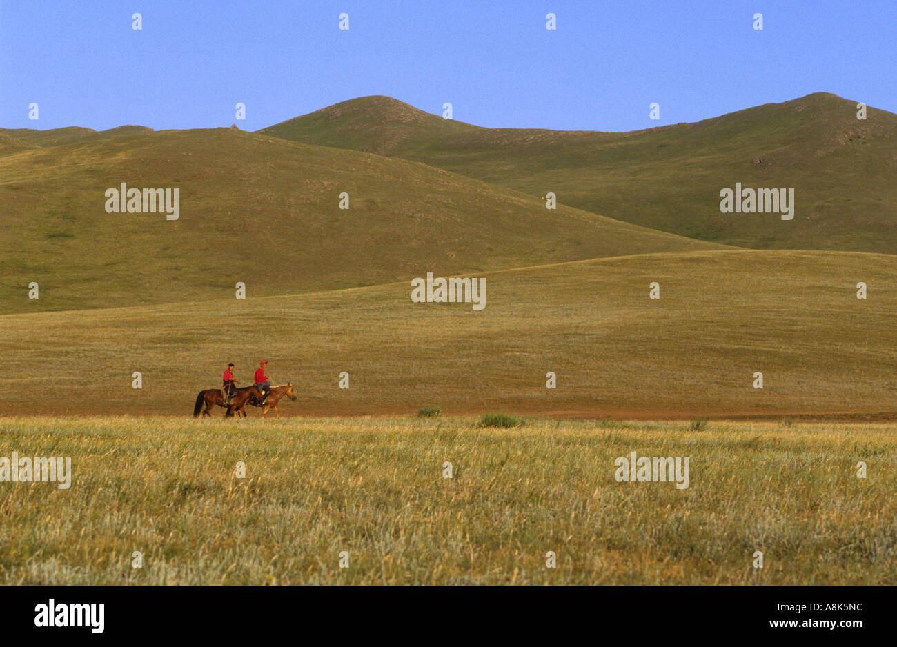 Mongolian horse herders hi-res stock photography and images - Alamy
