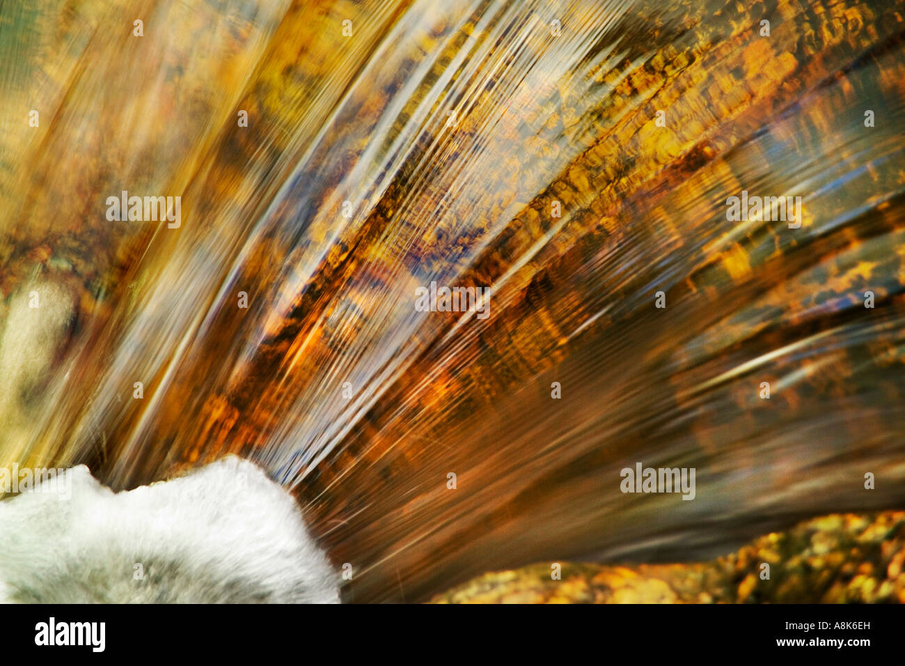 Stream water in nature close hi-res stock photography and images - Alamy
