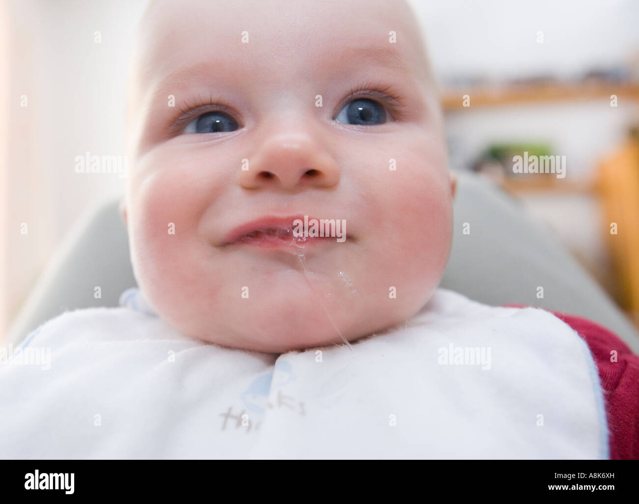 Portrait of Baby Stock Photo - Alamy