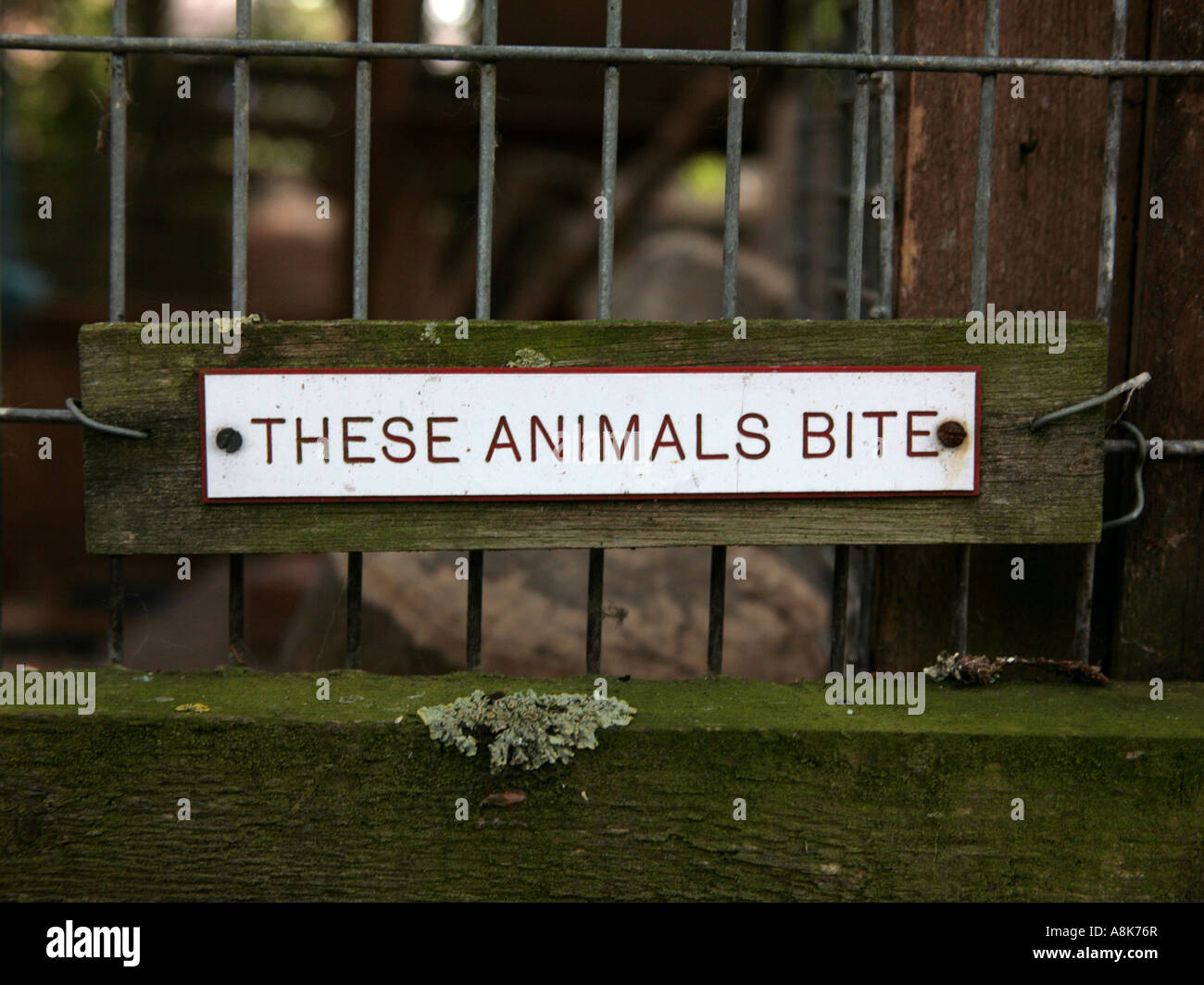 These animals bite sign Stock Photo - Alamy