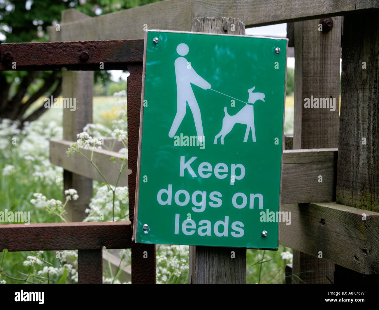 A sign to remind people to keep dogs on leads Stock Photo Alamy