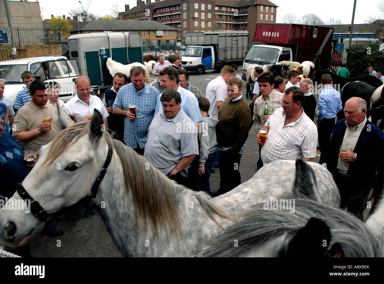 Horse dealers hires stock photography and images Alamy