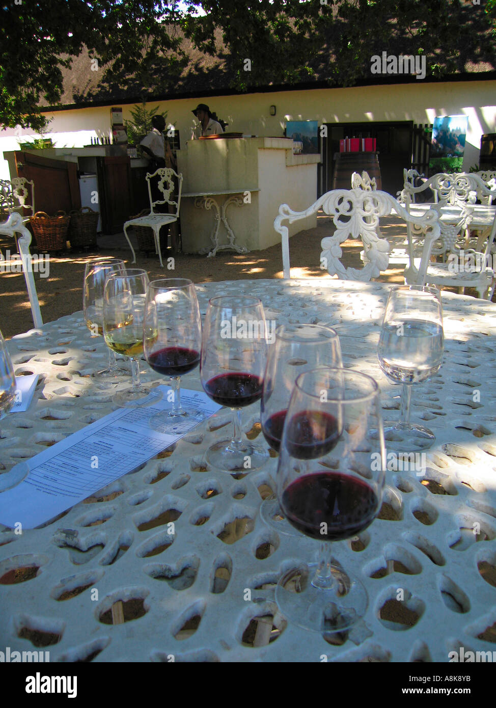 Closeup of Wine Glasses Set Up For Wine Tasting at Boschendal Winery
