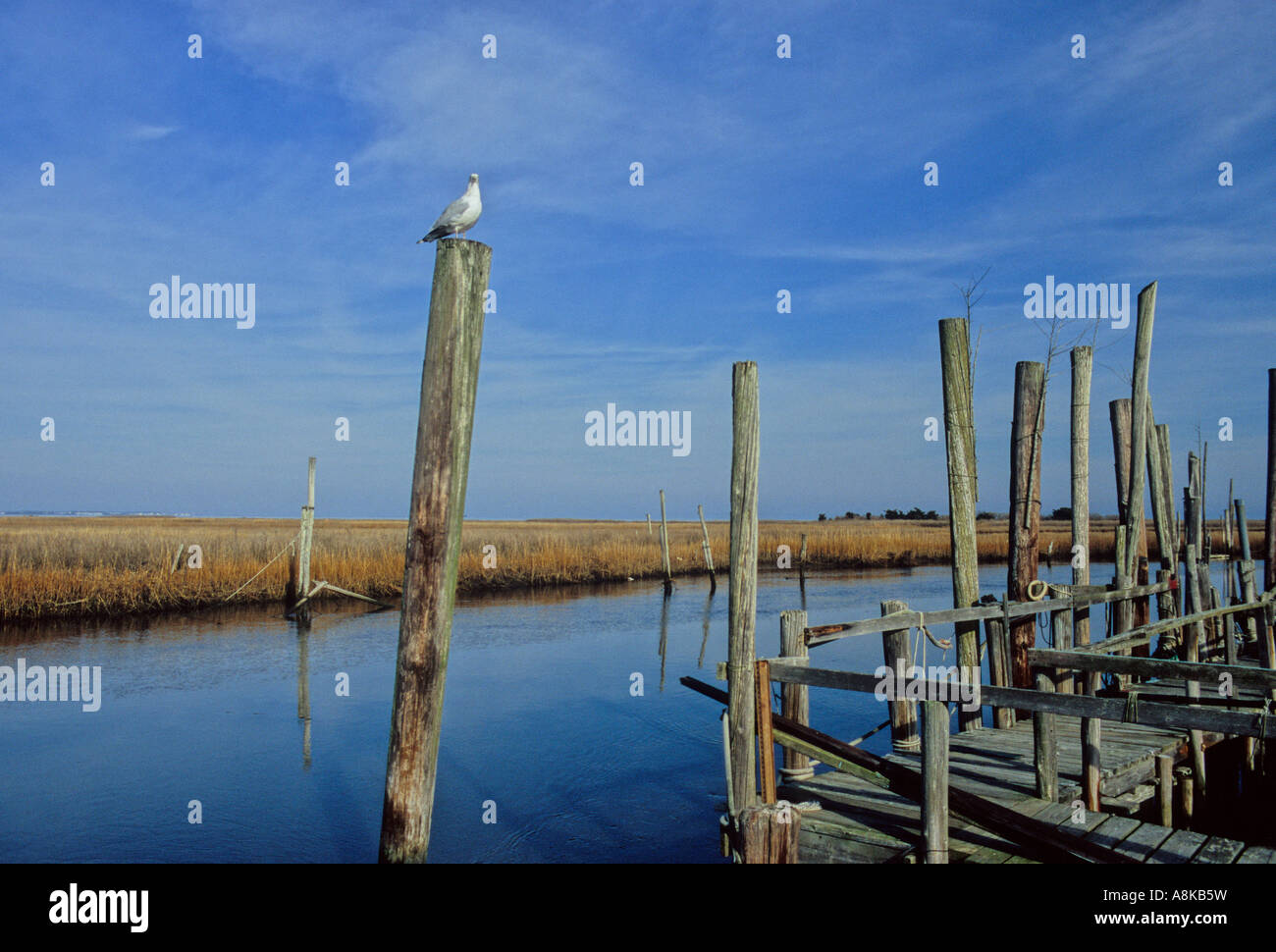 Leeds point jersey hires stock photography and images Alamy