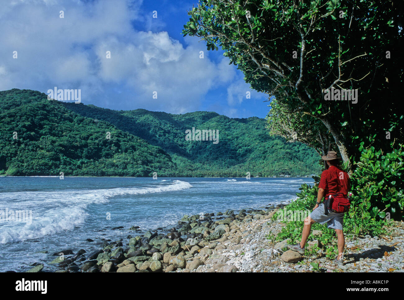 Man in the National Park of American Samoa looks at Vatia Bay Stock Photo