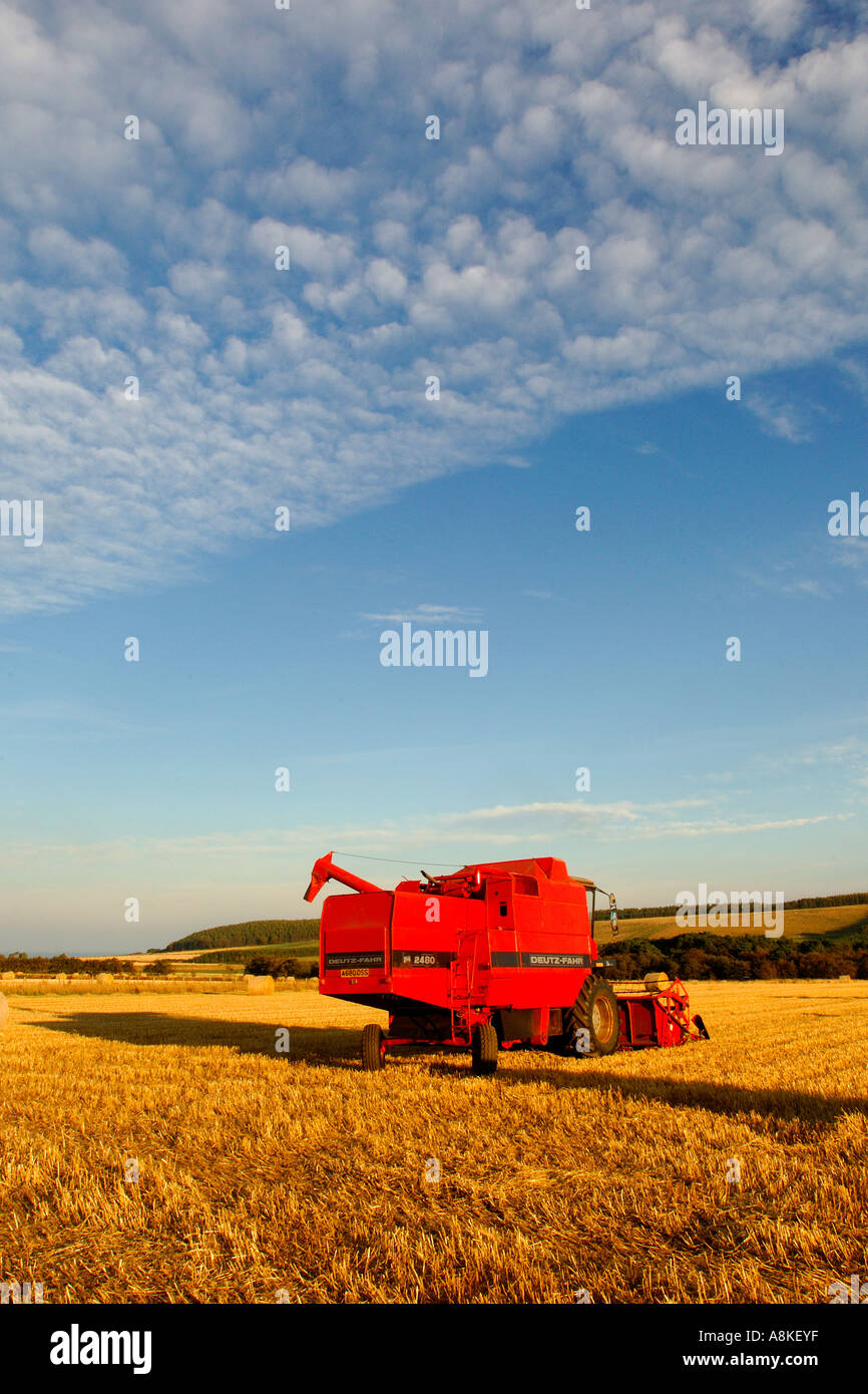 Bright red combine harvester in a harvested field scattered with hay bales under a blue sky with a streak of broken cloud Stock Photo