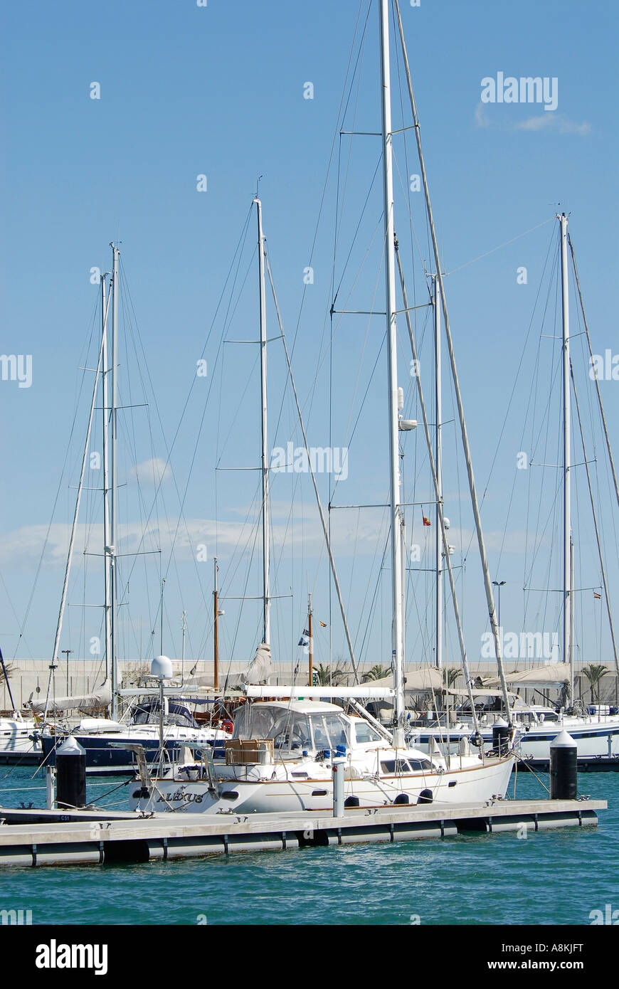 Valencias Harbor and Marina host of the 32nd Americas Cup Stock Photo