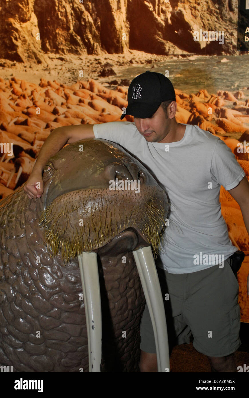 Visitors at the New York Aquarium Brooklyn Coney Island Stock Photo - Alamy