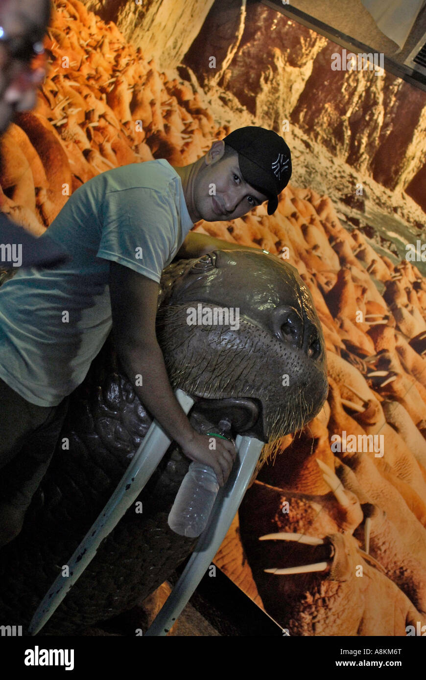 Visitors at the New York Aquarium Brooklyn Coney Island Stock Photo Alamy