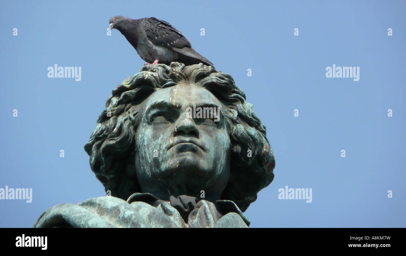 Head of the Beethoven memorial with pigeon, Bonn, North Rhine-Westphalia, Germany Stock Photo